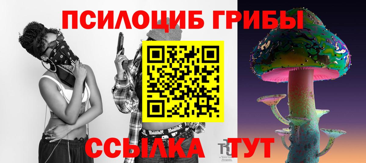 Псилоцибиновые грибы Cubensis  Вход с VPN  Чайковский 
